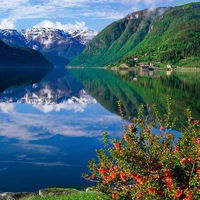 Максим Кочетков