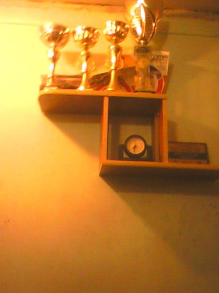 Ирен Делуна