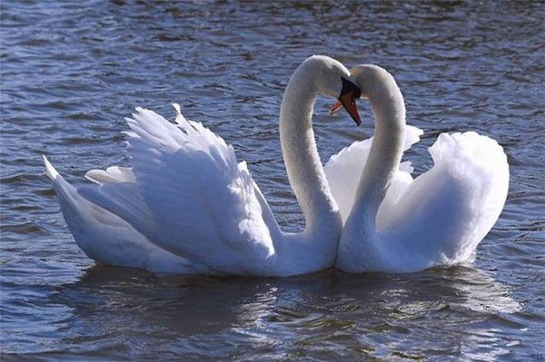 Алена Касумова