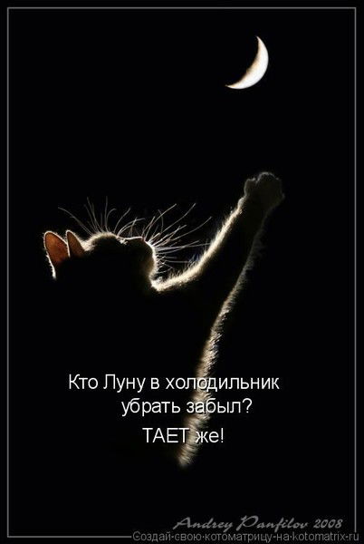 Людмила Наумова