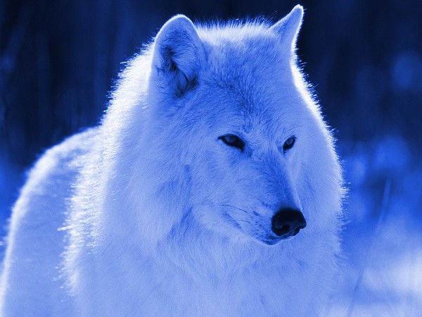 Сергей Иванов