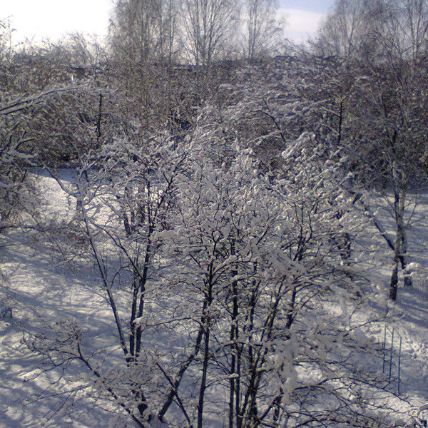 Константин Смирнов