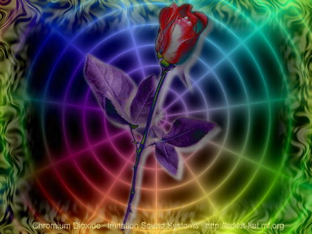 Надежда Московкина