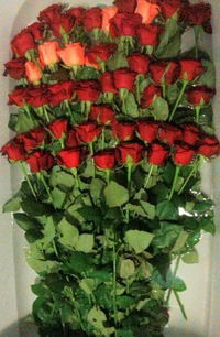 Татьяна Сезёмова