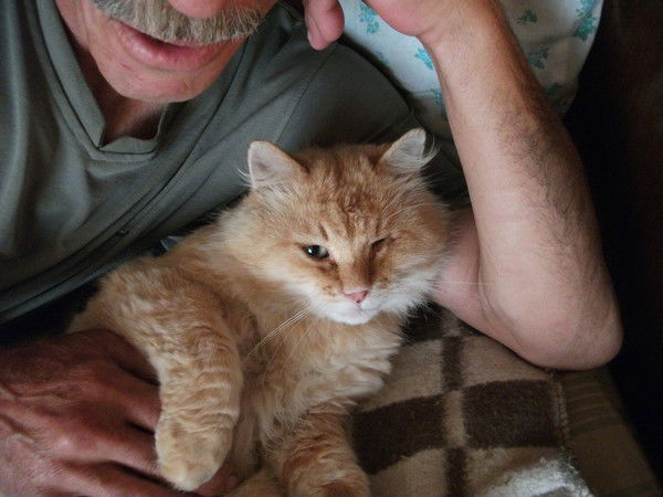 Андрей Довгалёв