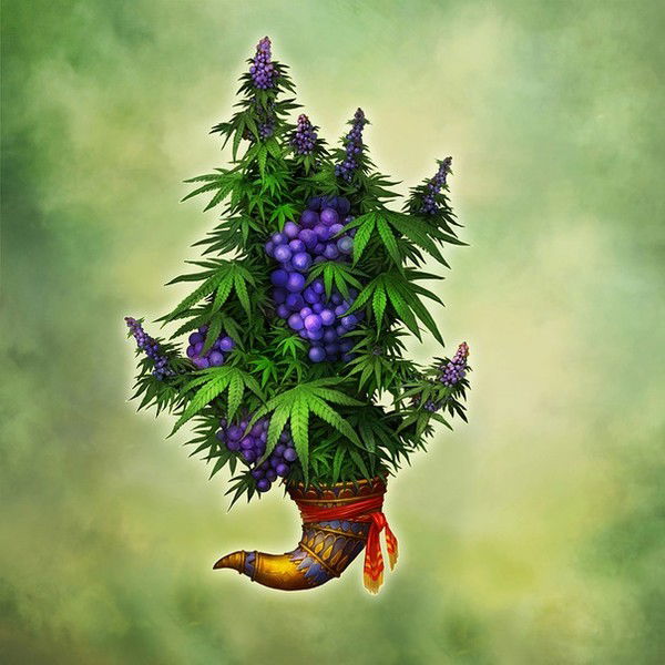 Антон Гилёв