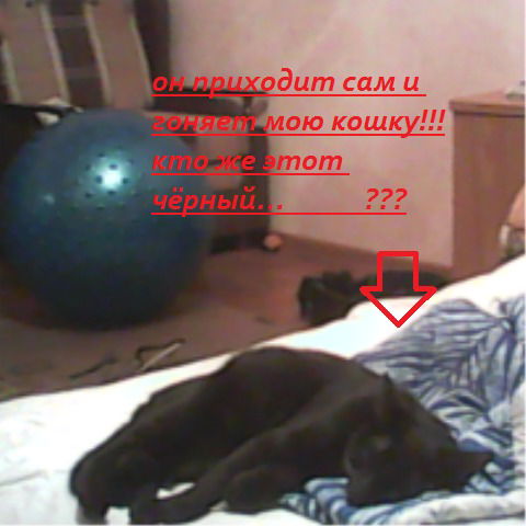 Екатерина Миш.