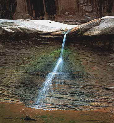 Ольга Курганская