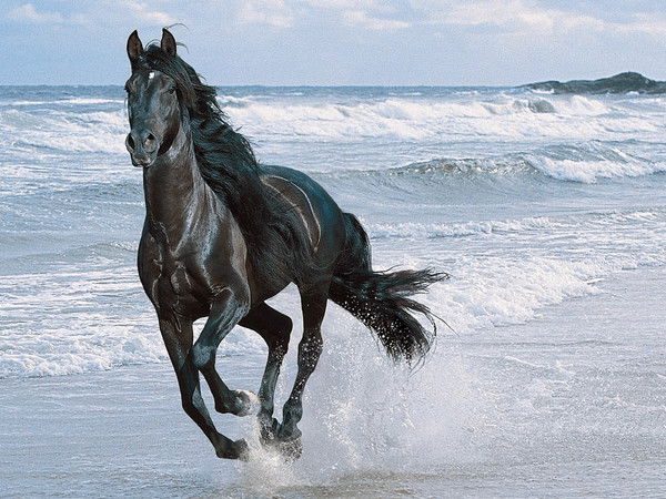 Марал Касимова