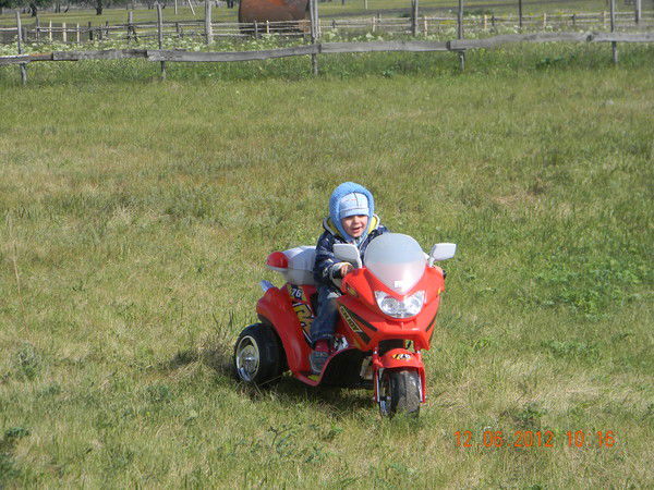 Наталья Волынец