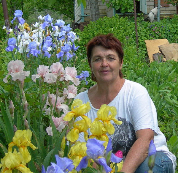 Татьяна Решетникова