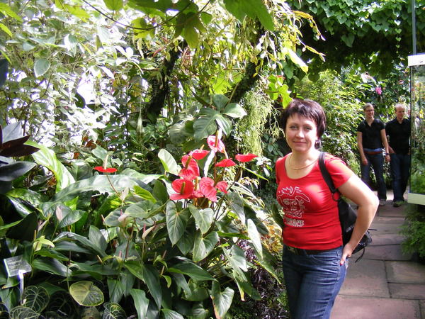 Светлана Калашникова