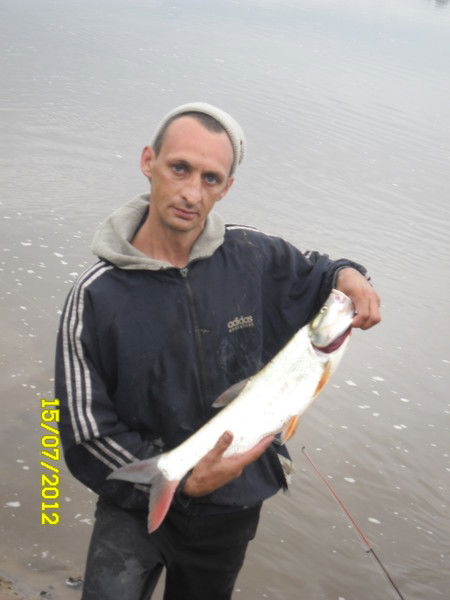 Владимир Тарханов