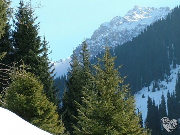 Мурат Малибеков