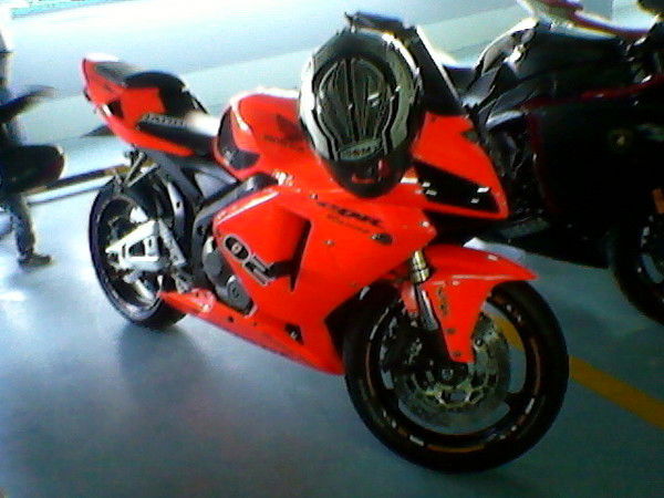 Никита Поляцковый