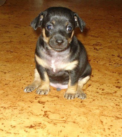 Оксана Рогова