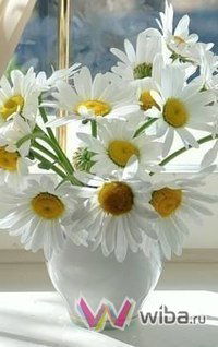 Эмма Гареева