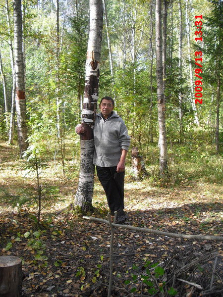 Николай Соколов