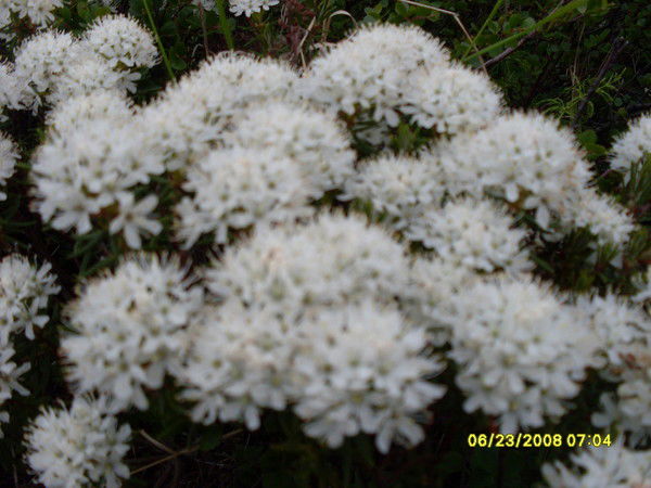 Рустам Серпуховитин