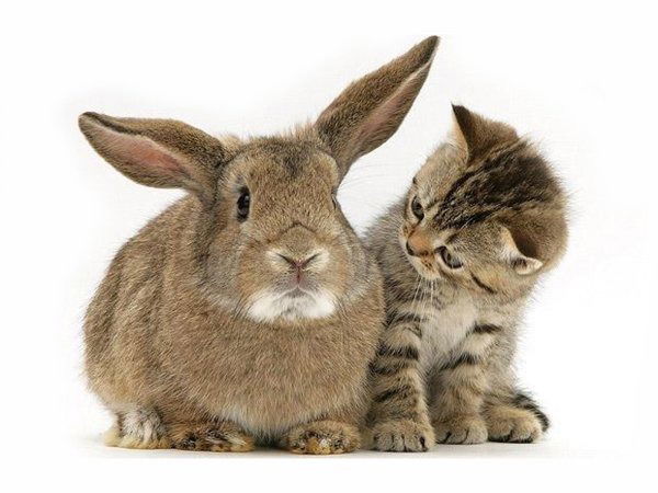 Тамара Уразголеевна Джумабекова