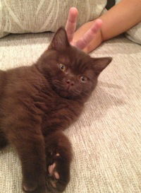 Олег Спиридонов