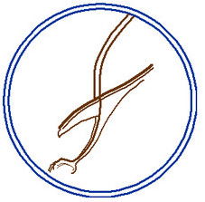 Sary Arka Trade Тоо