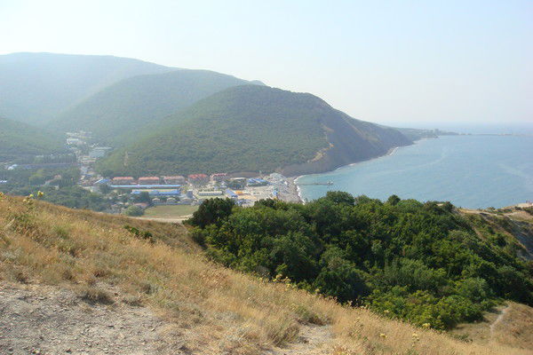 Елена Федотова