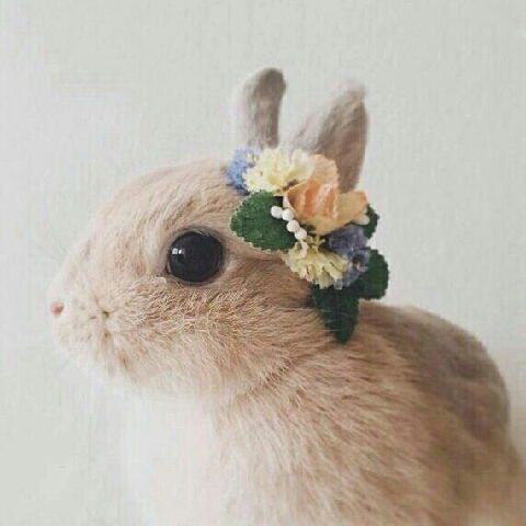 Екатерина Андрияшкина