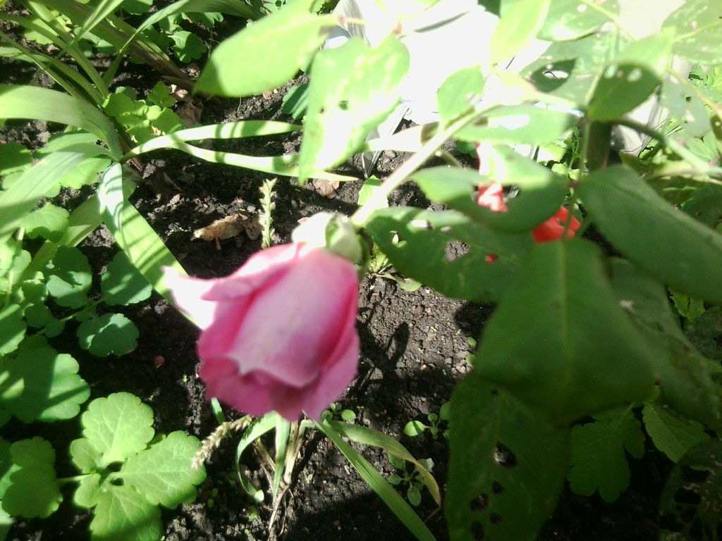 Галина***** Шлемова