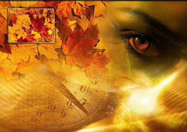 Ирина Прохорова