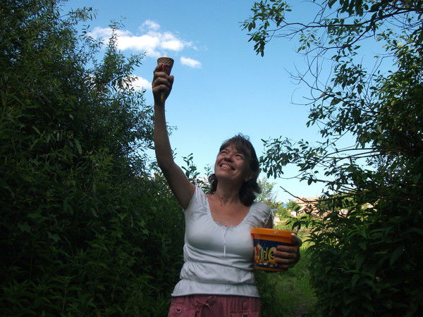 Алла Чернева