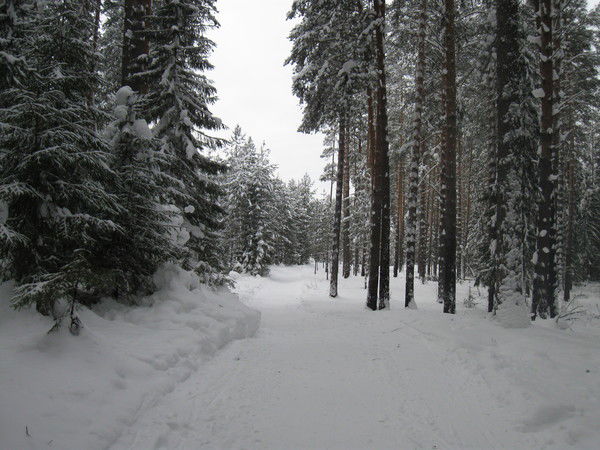 Голтвенко Наталья