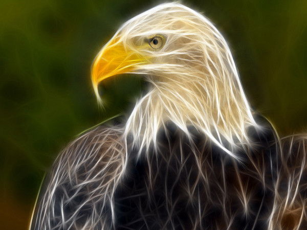 Орел Герцена 2 Менеджер