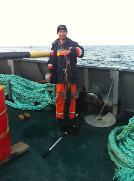 Григорий Деберина