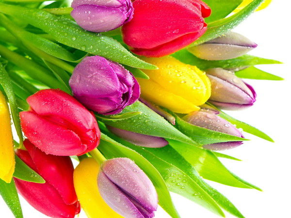 Ардак Турсыналиевна