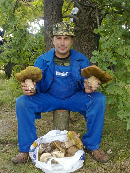 Миша Петренко