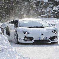 Саша Овчинников