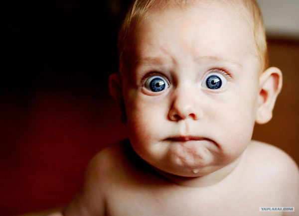 Андрей Жарков