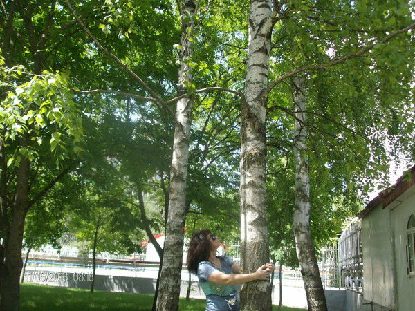 Людмила ********