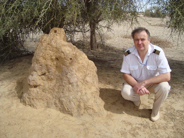 Александр Новицкий