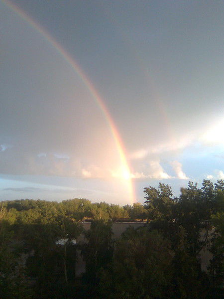 Елена Чернова