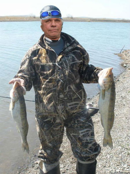 Николай Балашов