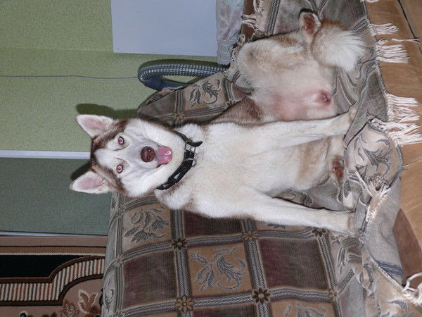 Наталия Иванова