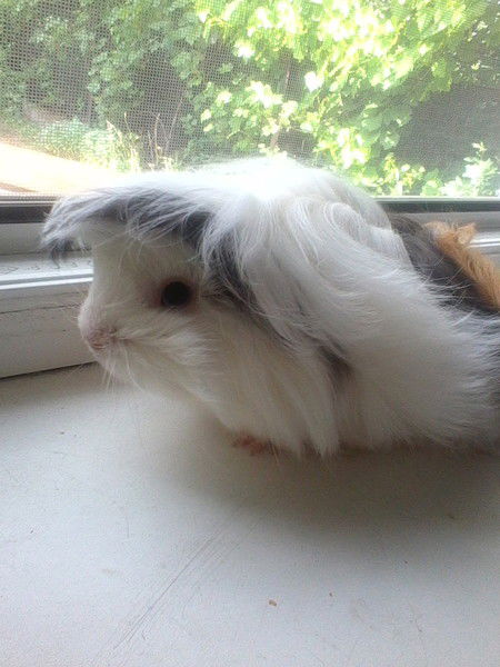 Александр Б