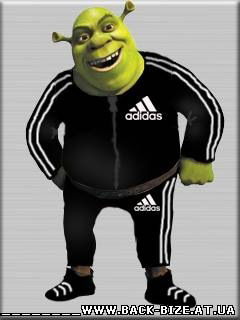 Тимур Альдебергенов