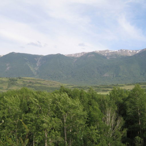 Мухамадиева Альмира