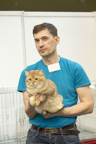 Михаил Лицкевич