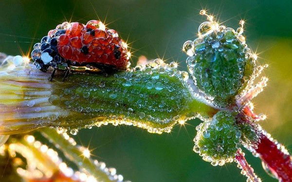 Гульнур Жумагалиева