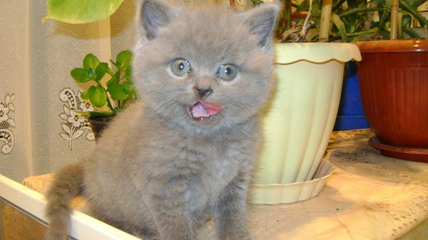 Татьяна Хатит