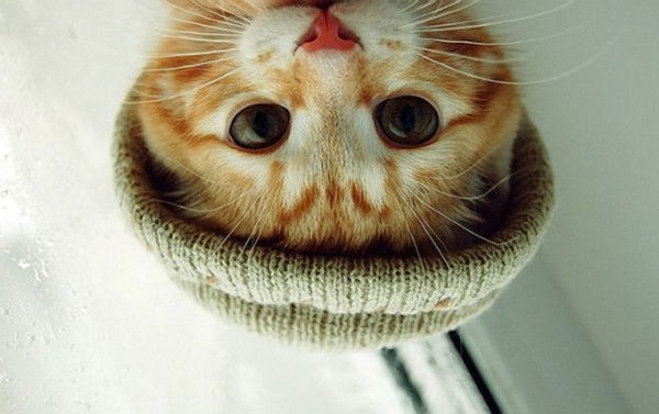 Людмила Иванова